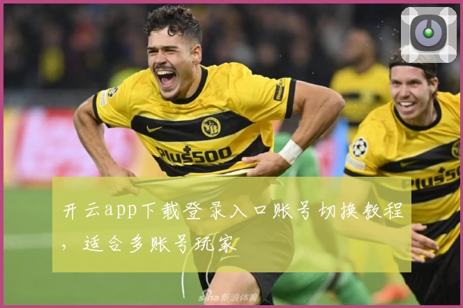 开云app下载登录入口账号切换教程，适合多账号玩家