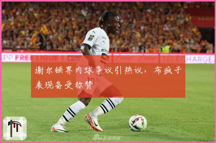 谢尔顿界内球争议引热议，布疯子表现备受称赞