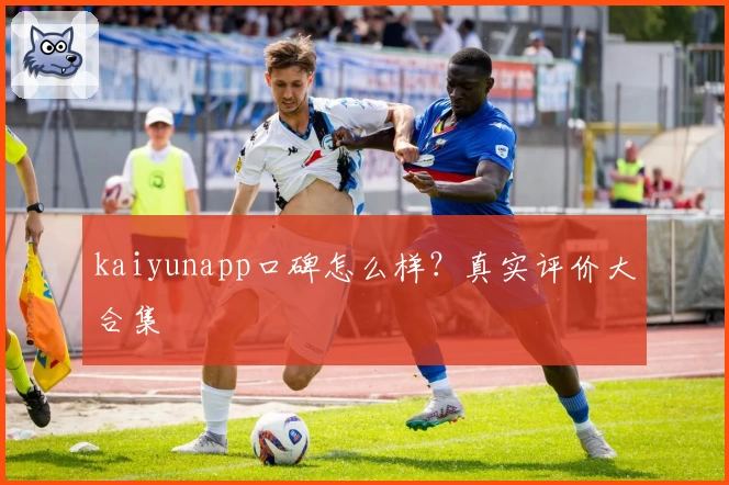 kaiyunapp口碑怎么样？真实评价大合集