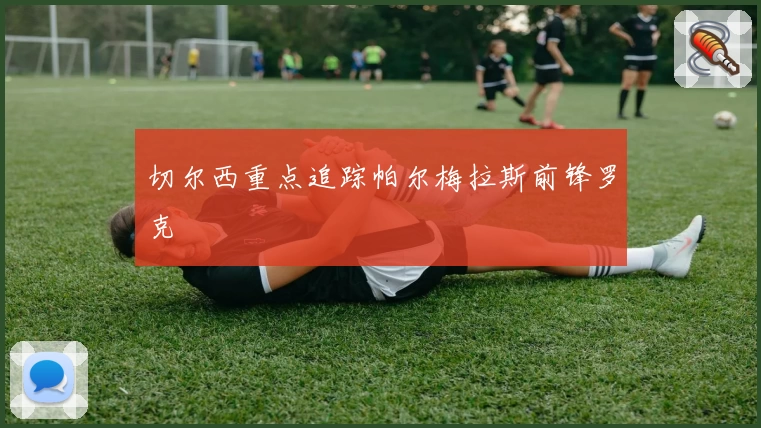 切尔西重点追踪帕尔梅拉斯前锋罗克