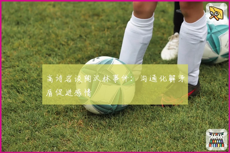 高诗岩谈陶汉林事件:沟通化解矛盾促进感情