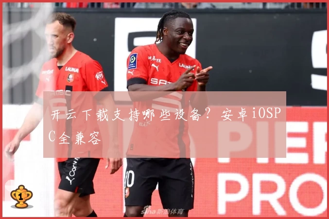 开云下载支持哪些设备？安卓iOSPC全兼容