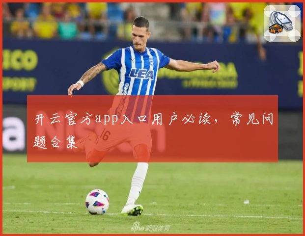 开云官方app入口用户必读,常见问题合集
