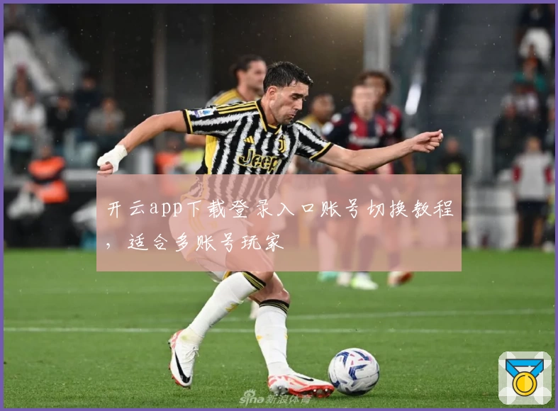开云app下载登录入口账号切换教程，适合多账号玩家
